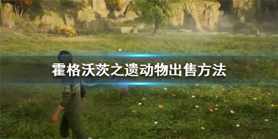 霍格沃茨之遗野兽怎么卖 霍格沃茨之遗动物出售方法 